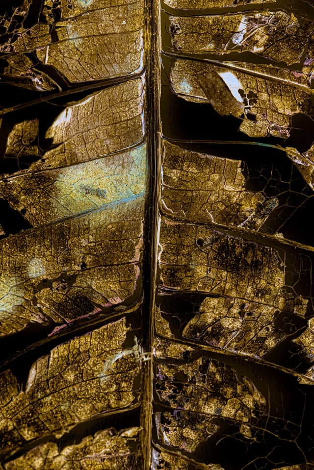 Folha dourada